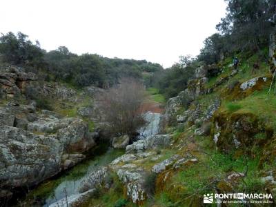 Molinos Río Perales; senderismo y montaña; viajes fines de semana; senderos madrid;arbol el tejo